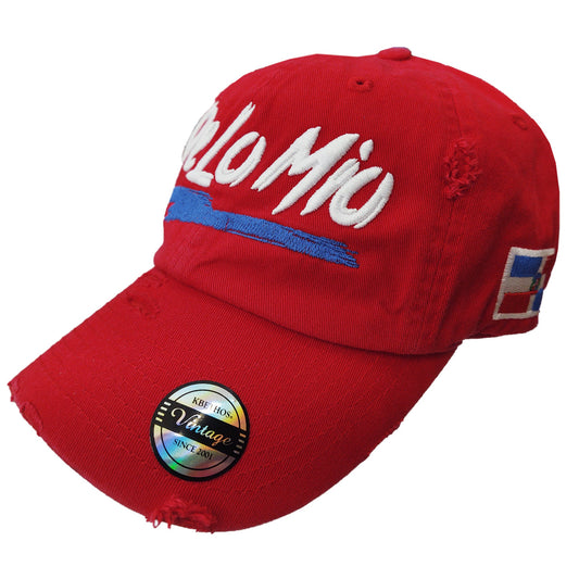 De lo mio embroidered  Logo Vintage Hat (Red / Full Color)