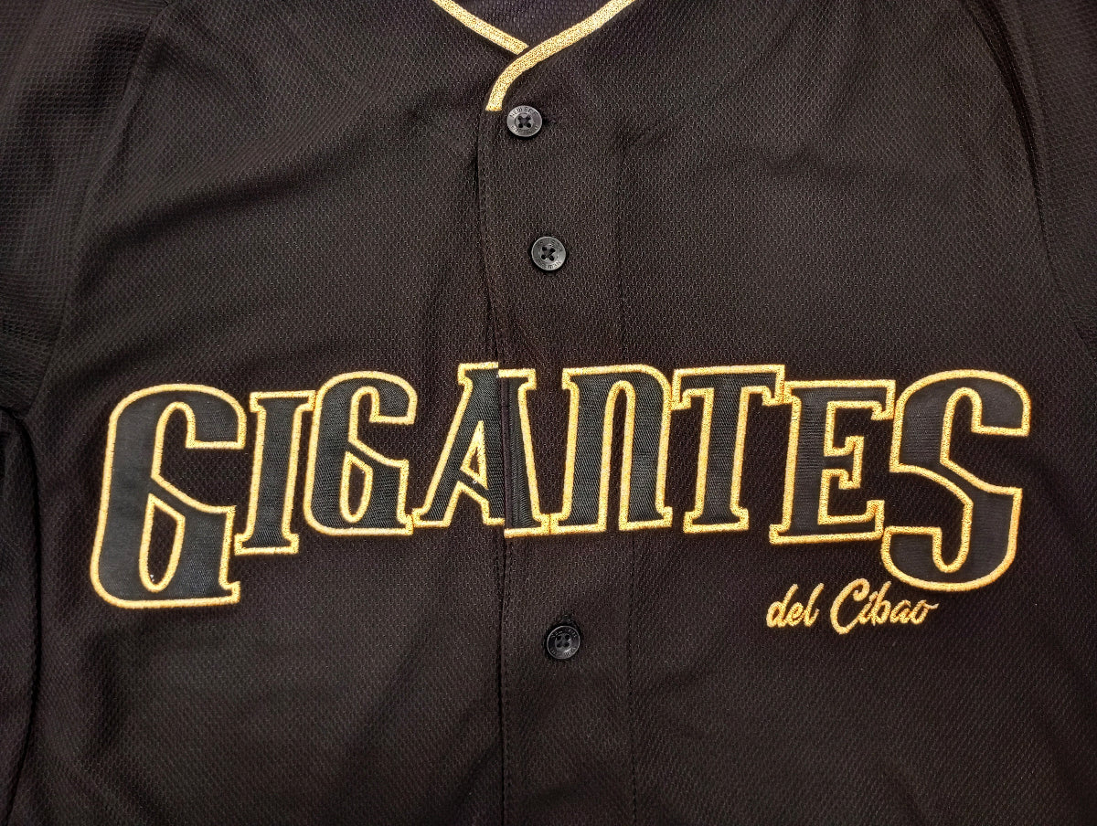 Gigantes del Cibao jersey