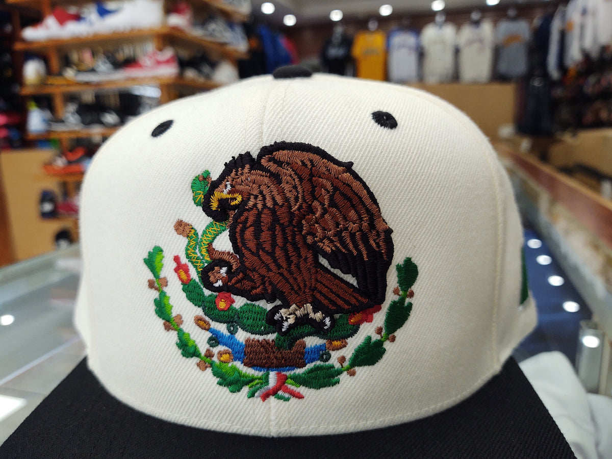 Mexico Snapback hats Embroidered Shield and flag
