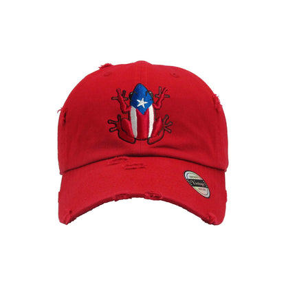 Puerto Rico Vintage hat with Coqui Logo