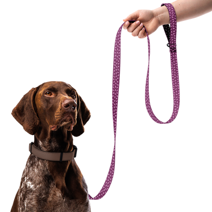 Patterned Pet Leash